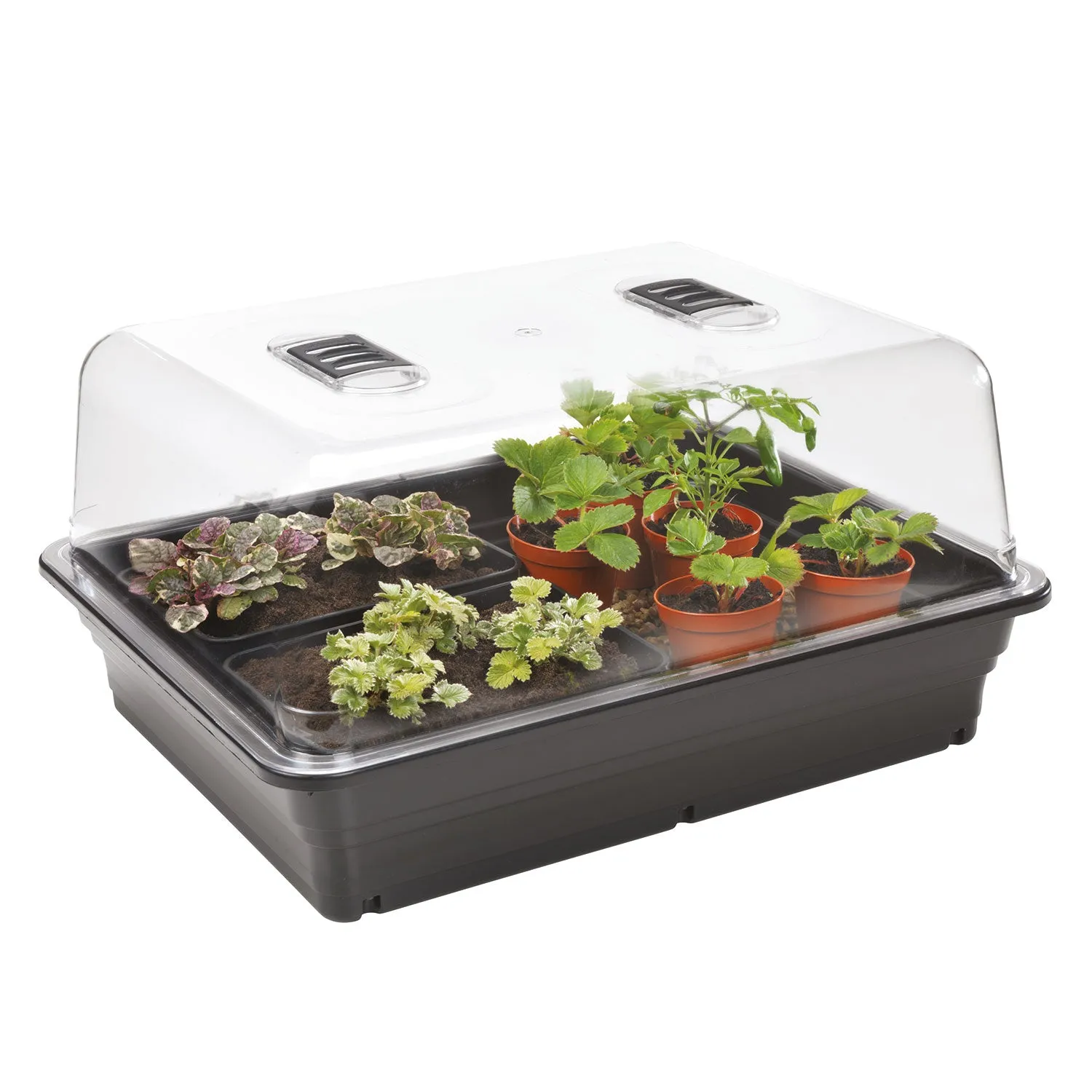 Heat and Grow Variable Temperature Propagator