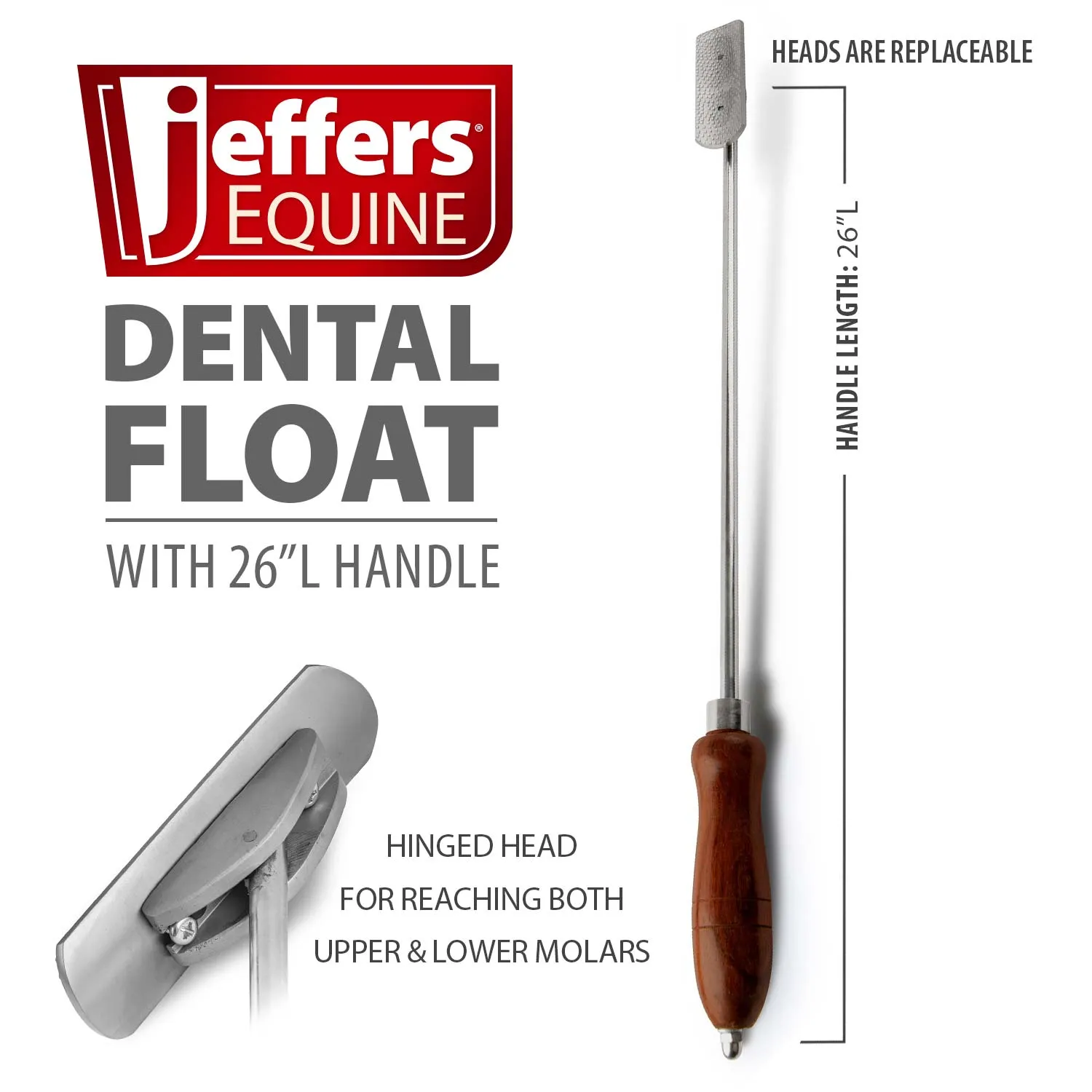 Jeffers Dental Float (& Replacement Blades)