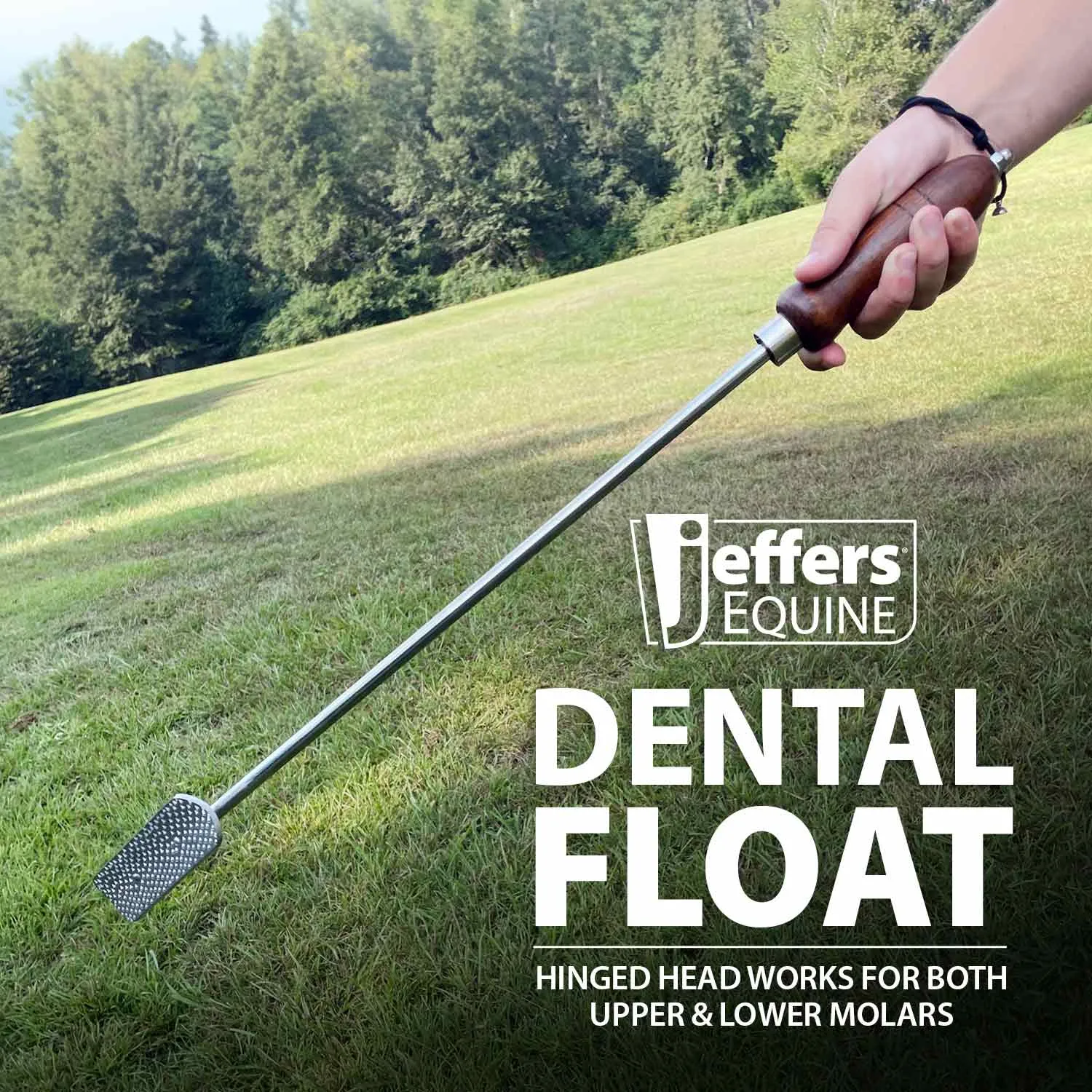 Jeffers Dental Float (& Replacement Blades)